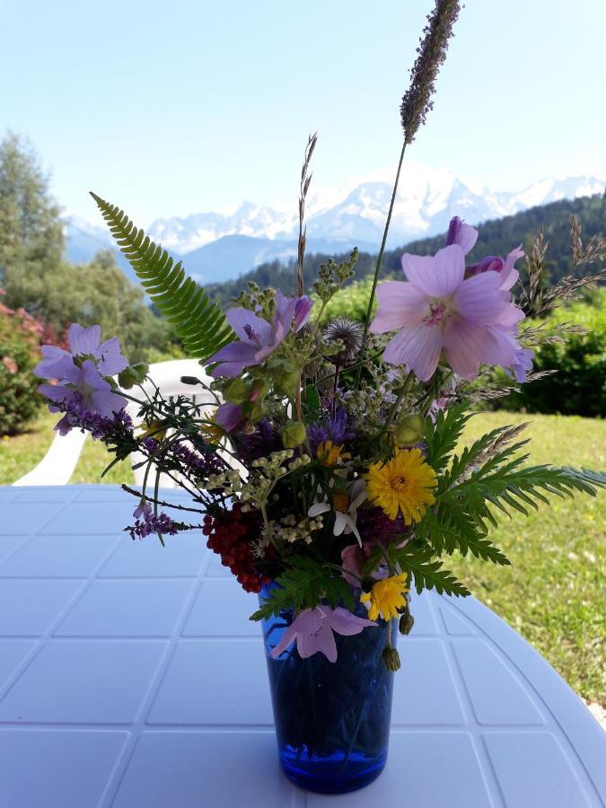 Studio Avec Jardin Amenage Et Wifi A Cordon A 1 Km Des Pistes Apartamento Exterior foto